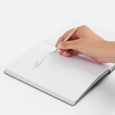 Набор цветных карандашей Pencilvania Mini, крафт — фото 4