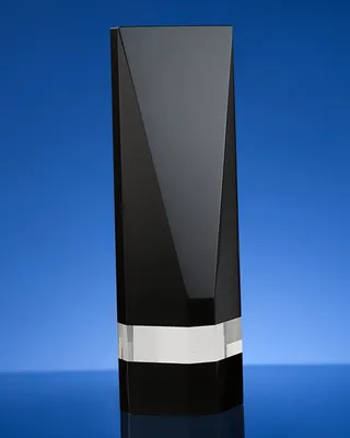 Награда Statum — фото 2