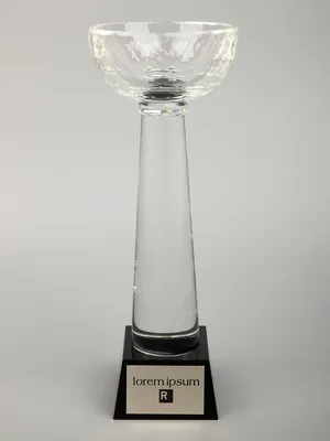 Кубок Cupture, большой — фото 5