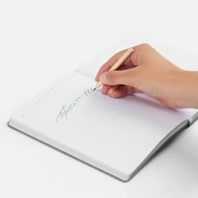 Набор цветных карандашей Pencilvania Mini, белый — фото 4