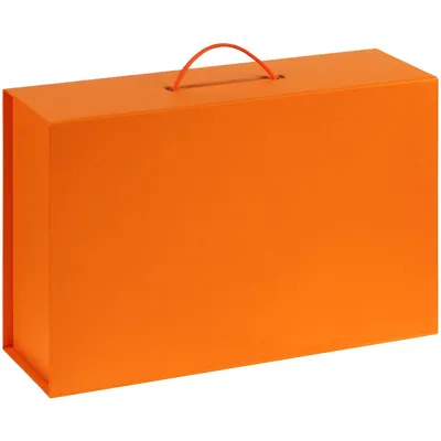 Коробка Big Case, оранжевая — фото 2