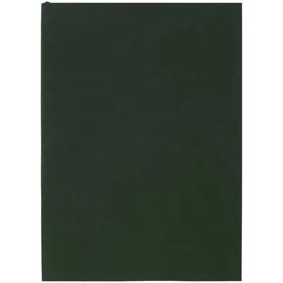 Ежедневник Flat Light, недатированный, зеленый