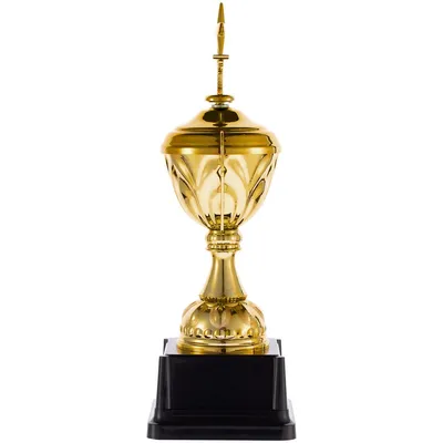 Кубок Top Star, золотистый — фото 2