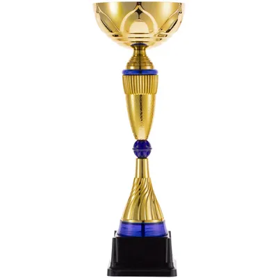 Кубок Awardee, большой, синий — фото 2