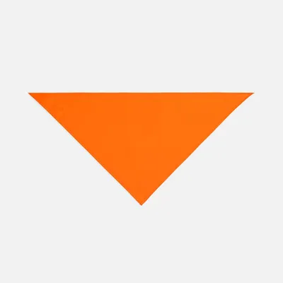 Шейный платок Bandana, оранжевый — фото 3