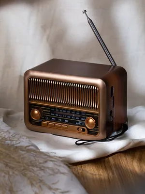 Bluetooth-колонка с радио Beatnik, коричневая — фото 9