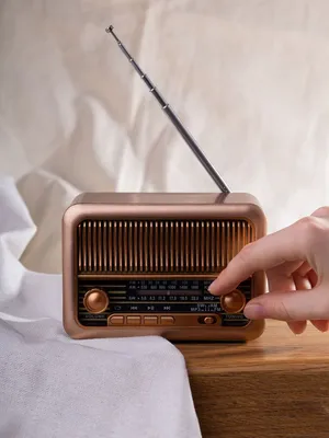 Bluetooth-колонка с радио Beatnik, коричневая — фото 10