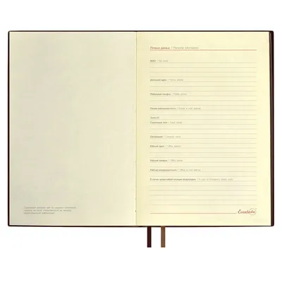 Ежедневник Merida, датированный, коричневый — фото 5