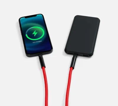 Кабель-ланьярд energyFlex Power Delivery 60 Вт, красный — фото 7