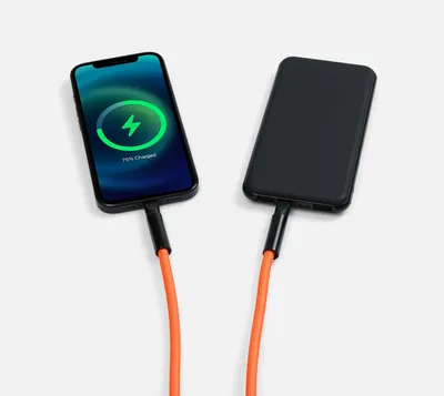 Кабель-ланьярд energyFlex Power Delivery 60 Вт, оранжевый — фото 8