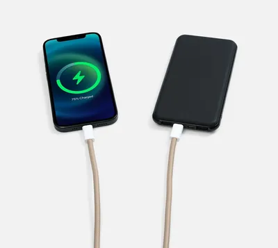 Кабель-ланьярд energyFlex Pro, серо-бежевый — фото 10