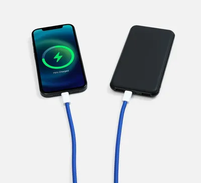 Кабель-ланьярд energyFlex Pro, синий — фото 10