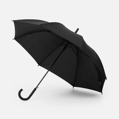 Зонт-трость Jolly Brolly, черный — фото 1