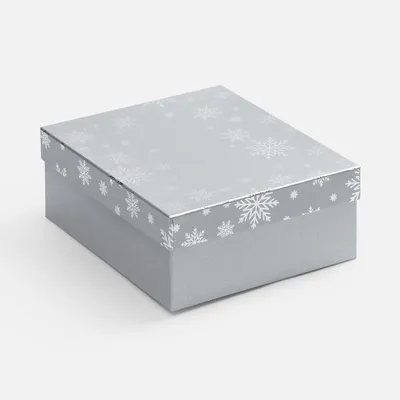 Коробка Wintry, серебристая