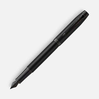 Ручка перьевая Parker IM Achromatic Black, черная
